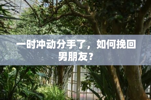 一时冲动分手了，如何挽回男朋友？