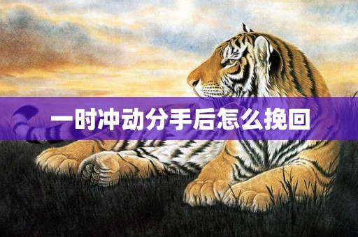 一时冲动分手后怎么挽回