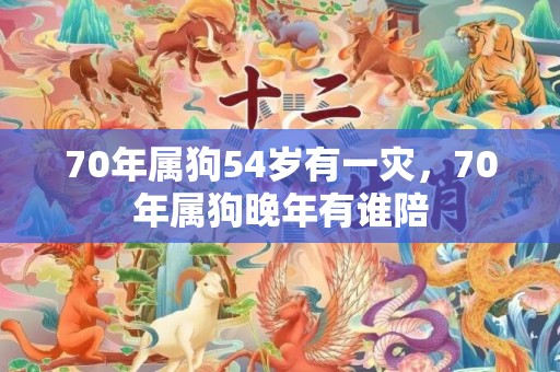 70年属狗54岁有一灾，70年属狗晚年有谁陪