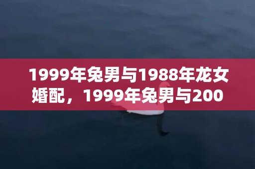 1999年兔男与1988年龙女婚配，1999年兔男与2000年龙女婚配怎样