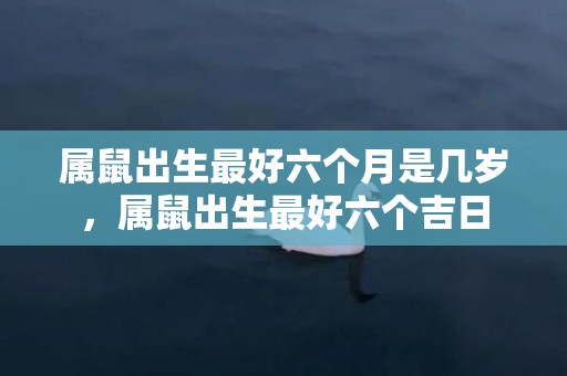 属鼠出生最好六个月是几岁，属鼠出生最好六个吉日