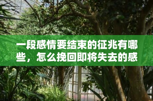 一段感情要结束的征兆有哪些，怎么挽回即将失去的感情