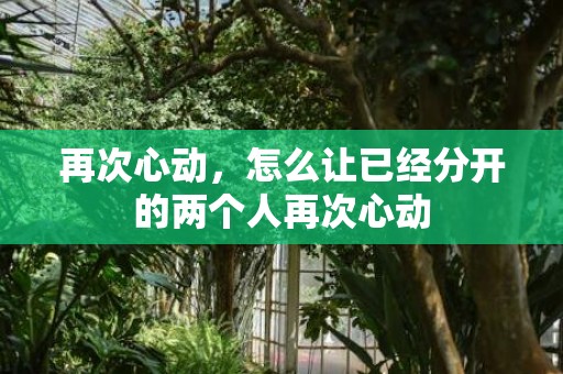 再次心动，怎么让已经分开的两个人再次心动