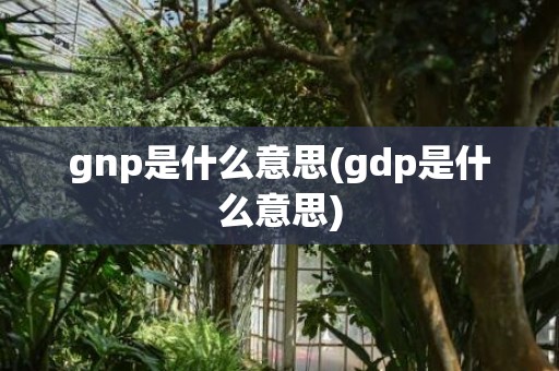 gnp是什么意思(gdp是什么意思)
