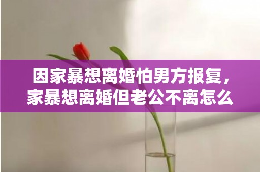 因家暴想离婚怕男方报复，家暴想离婚但老公不离怎么办呢 家暴后离婚最快方式