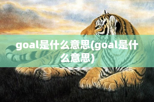 goal是什么意思(goal是什么意思)