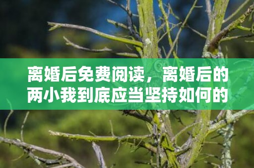 离婚后免费阅读，离婚后的两小我到底应当坚持如何的关系?