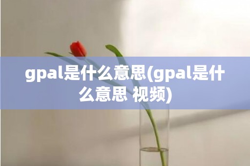 gpal是什么意思(gpal是什么意思 视频)