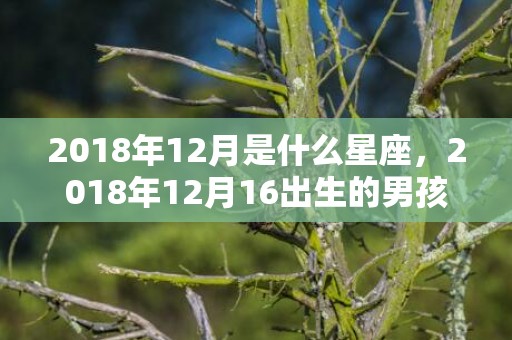 2018年12月是什么星座，2018年12月16出生的男孩好听的名字推荐大全
