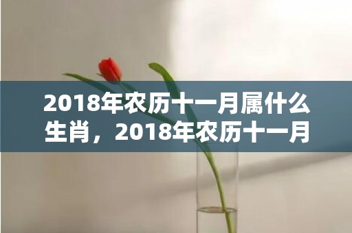 2018年农历十一月属什么生肖，2018年农历十一月二十九出生的女孩起名推荐