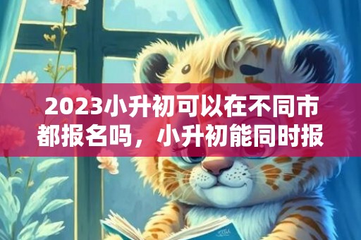 2023小升初可以在不同市都报名吗，小升初能同时报两个学校吗