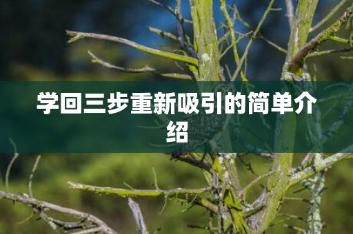 学回三步重新吸引的简单介绍