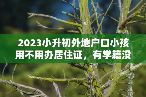 2023小升初外地户口小孩用不用办居住证，有学籍没有居住证可以小升初吗