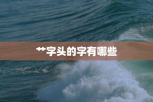 艹字头的字有哪些