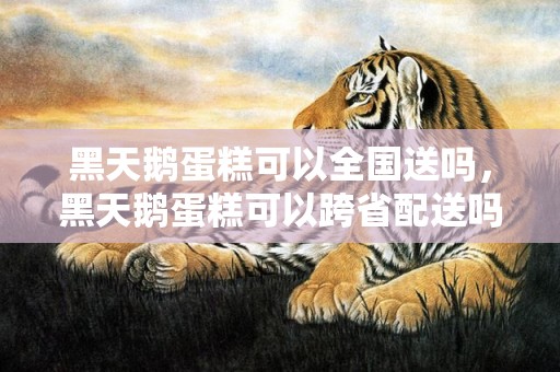 黑天鹅蛋糕可以全国送吗，黑天鹅蛋糕可以跨省配送吗