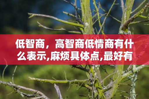 低智商，高智商低情商有什么表示,麻烦具体点,最好有科学根据