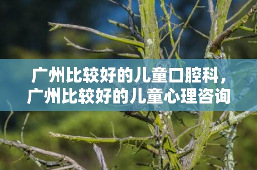 广州比较好的儿童口腔科，广州比较好的儿童心理咨询机构？广州权威的心理咨询