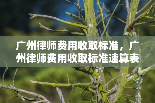 广州律师费用收取标准，广州律师费用收取标准速算表，50万律师费收多少