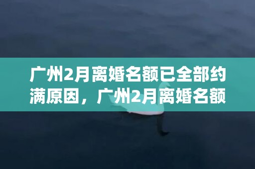 广州2月离婚名额已全部约满原因，广州2月离婚名额已满？民政局回应(广州户口离婚后女方户口怎么办)