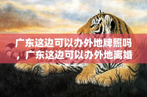 广东这边可以办外地牌照吗，广东这边可以办外地离婚手续 离婚都带什么手续