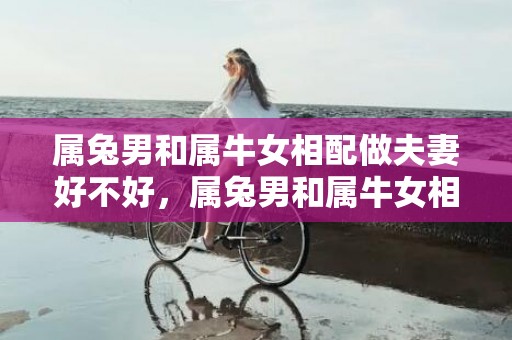 属兔男和属牛女相配做夫妻好不好，属兔男和属牛女相配吗
