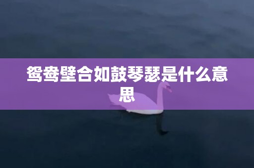 鸳鸯壁合如鼓琴瑟是什么意思