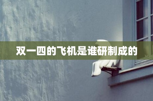 双一四的飞机是谁研制成的