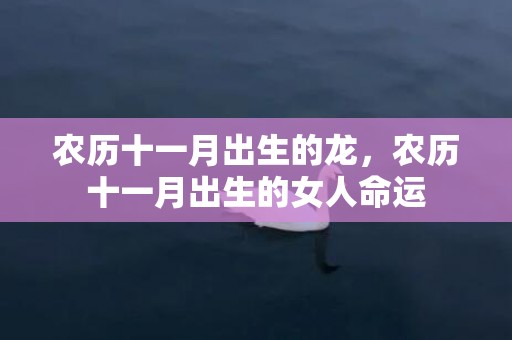 农历十一月出生的龙，农历十一月出生的女人命运
