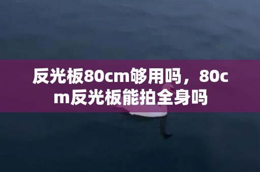 反光板80cm够用吗，80cm反光板能拍全身吗