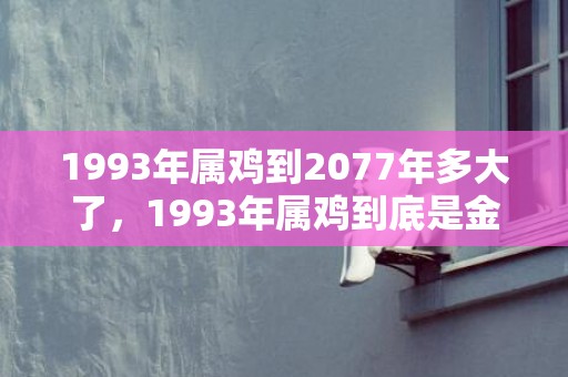 1993年属鸡到2077年多大了，1993年属鸡到底是金命还是水命
