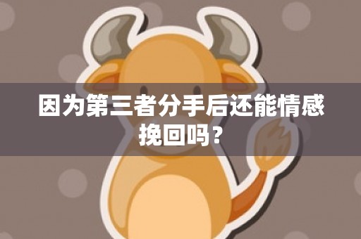 因为第三者分手后还能情感挽回吗？