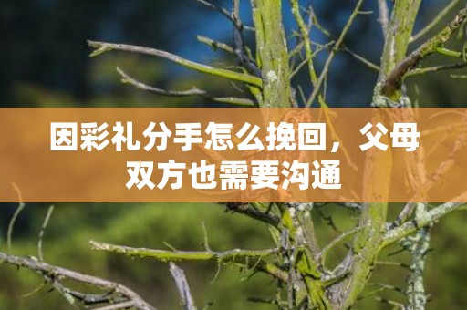 因彩礼分手怎么挽回，父母双方也需要沟通