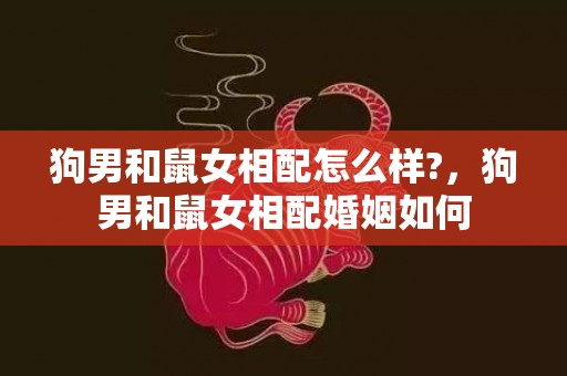 狗男和鼠女相配怎么样?，狗男和鼠女相配婚姻如何