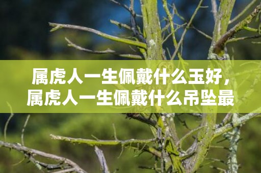 属虎人一生佩戴什么玉好，属虎人一生佩戴什么吊坠最佳