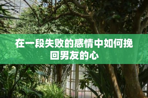 在一段失败的感情中如何挽回男友的心