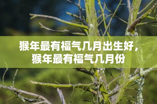 猴年最有福气几月出生好，猴年最有福气几月份