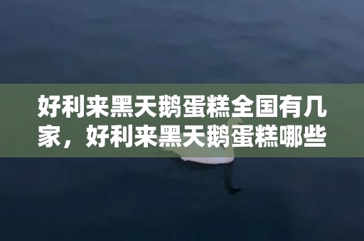 好利来黑天鹅蛋糕全国有几家，好利来黑天鹅蛋糕哪些城市有