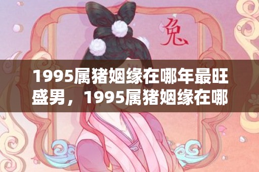 1995属猪姻缘在哪年最旺盛男，1995属猪姻缘在哪年最旺盛