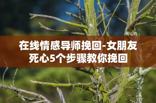 在线情感导师挽回-女朋友死心5个步骤教你挽回