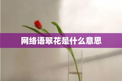 网络语翠花是什么意思