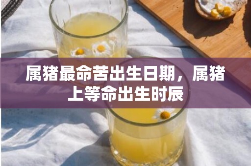 属猪最命苦出生日期，属猪上等命出生时辰