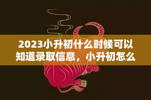 2023小升初什么时候可以知道录取信息，小升初怎么确认被录取
