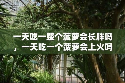 一天吃一整个菠萝会长胖吗，一天吃一个菠萝会上火吗