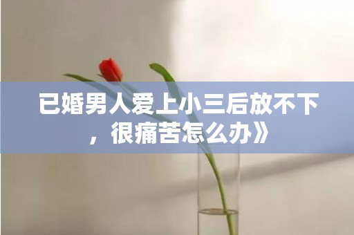 已婚男人爱上小三后放不下，很痛苦怎么办》