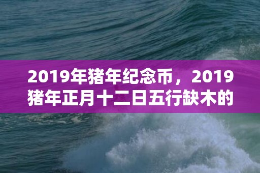 2019年猪年纪念币，2019猪年正月十二日五行缺木的男孩起什么名字吉利？