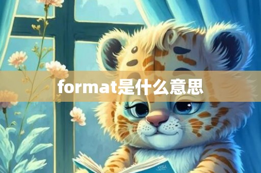 format是什么意思