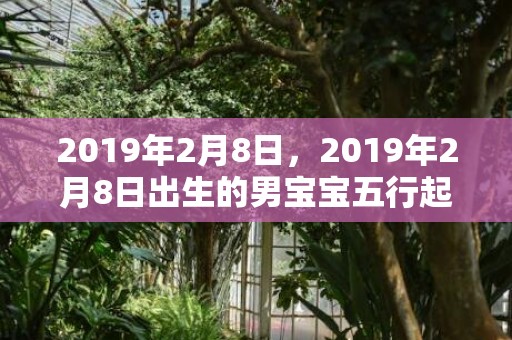 2019年2月8日，2019年2月8日出生的男宝宝五行起名大全