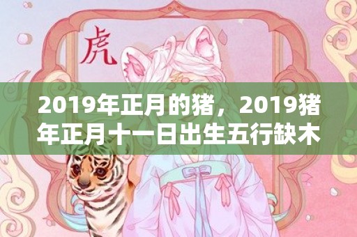 2019年正月的猪，2019猪年正月十一日出生五行缺木的男宝宝起名大全