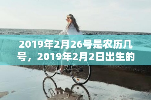 2019年2月26号是农历几号，2019年2月2日出生的女孩名字起名，女宝宝名字大全