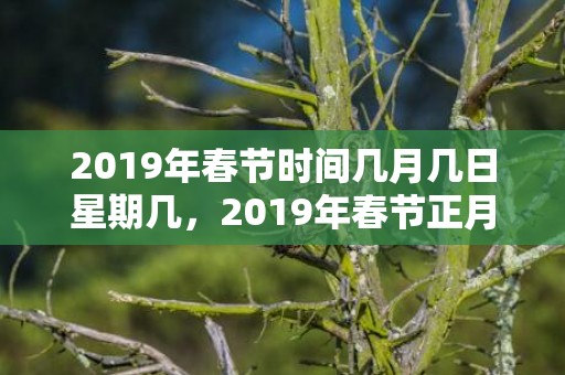 2019年春节时间几月几日星期几，2019年春节正月初一生的男孩五行缺土名字大全集
